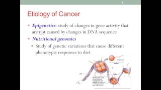MNT Cancer Part 1