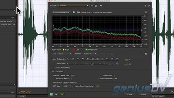 Adobe Premiere Removing Noise