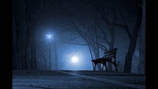 Midnight Solitude