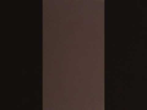 酒井法子『碧いうさぎ』