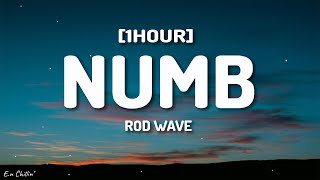 Rod Wave - Numb (Lyrics) [1HOUR]