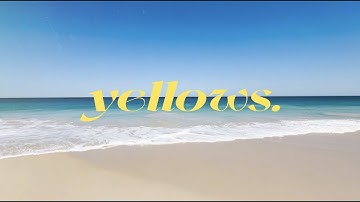 Yellows - The Beach Daily