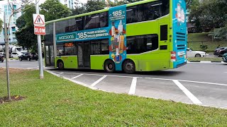 (Watson Advertisement) SG5816T(WLDEP) On Service 913/913T At Woodlands Avenue 5