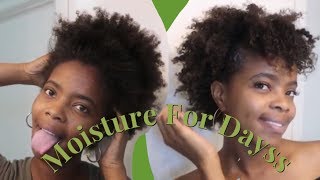 MOISTURIZE (4c) Natural Hair | Afro Style With Bangs