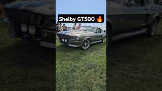 1967 Ford Mustang Shelby GT500!  #shorts #ford #Shelby #gt500 #shelbygt500 #musclecars