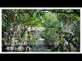 【観葉植物】「植物と暮らす」をアップデートする、名古屋に広がる植物のオアシス|garage NAGOYA|愛知県|名古屋|ささしまライブ|グローバルゲート|植物店巡り