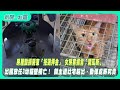 房屋押金爭議