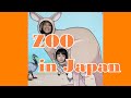 ZOO quiz/動物園/ZOO/日本語会話/Japanese conversation/日本語/JLPT