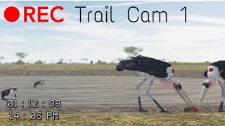 Trail Cam 1 (Roblox - Testing A)