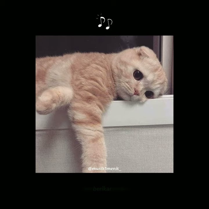 Story WA | Bahagialah bersamanya - Alcaniz Band Cover Julida Astari