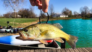 I FINALLY Caught the KING of the POND!!! (BIGGEST One Yet!)