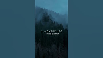 #سورة_الفاتحة #quran #foryou #المصحف #viral #راحة_نفسية