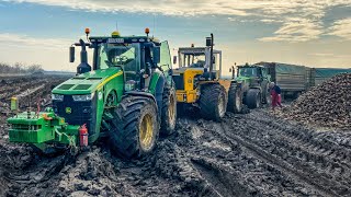 A NAGY ELAKADÁS  John Deere 6195R STUCK in MUD! JD 8245R + Rába | Extreme Sugarbeet Transport