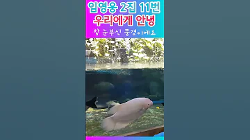 임영웅 우리에게 안녕 최고의 힐링뮤직 임영웅 영웅시대 야그톡 