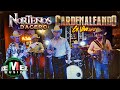 Los Carnales De Nuevo León - Norteños D&#39;Acero: Popurrí Cardenaleando En Vivo (Video Oficial)