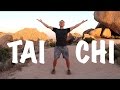 9 Tai Chi Moves - 15 Minute Daily Taiji Routine - Amazing