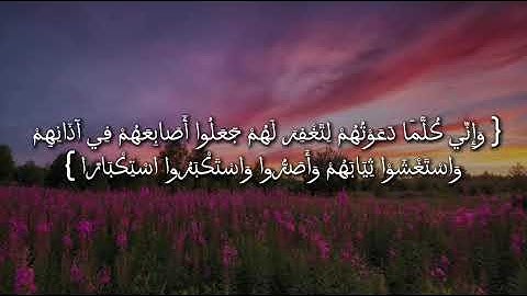 تلاوة هادئة وجميلة لسورة نوح  | القارئ بسام ابو جابر