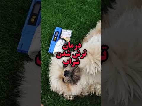 درمان ترش شدن شراب