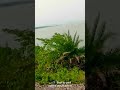 Mastana Mausam hai Rangin najara....#Dill Hai tumhara#...#Travel Video#....🥰🤩😍 #hindisong