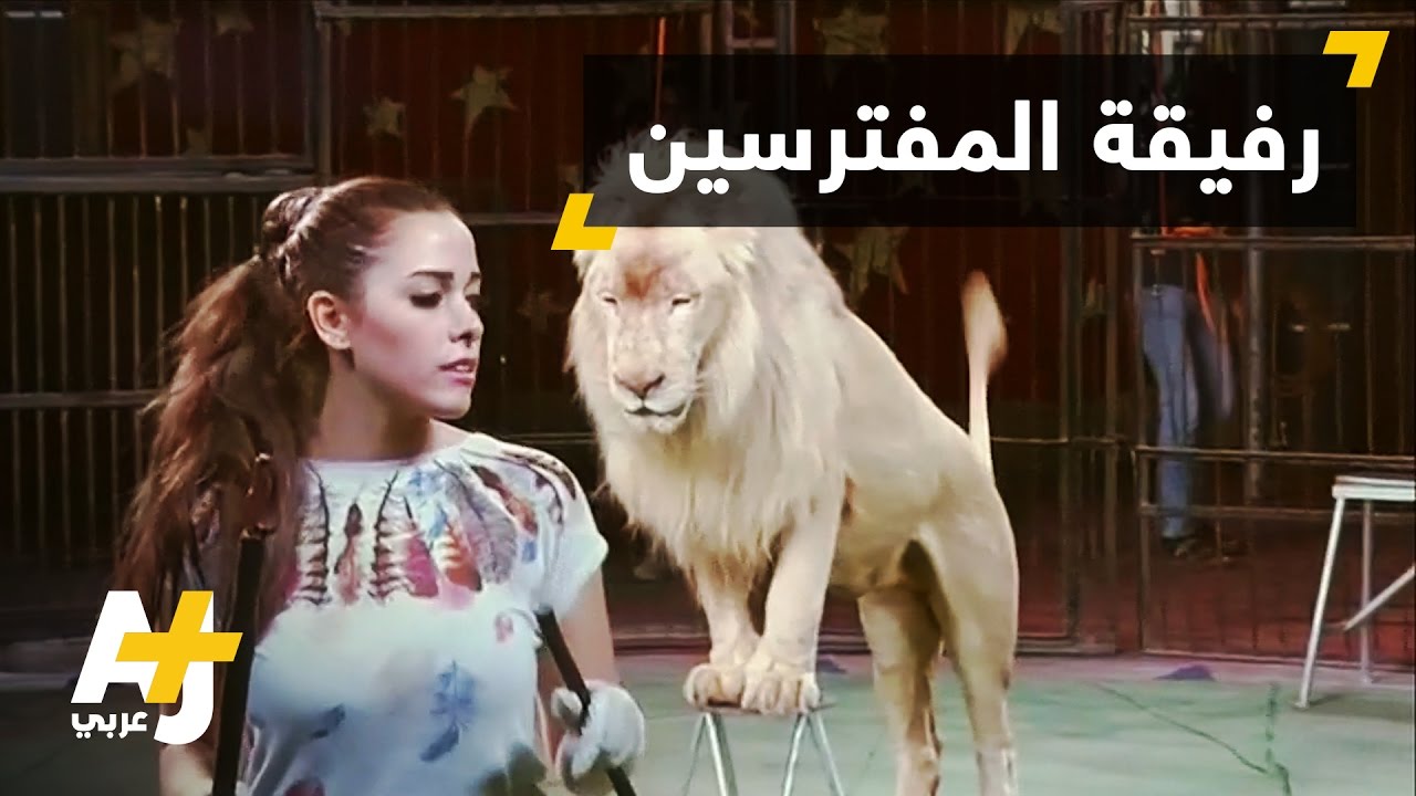 محاسن الحلو مروضة نمور مصرية