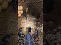 Desert Scorpion POV: Tiny camera Reveals a Massive Hidden Underground Colony #shorts