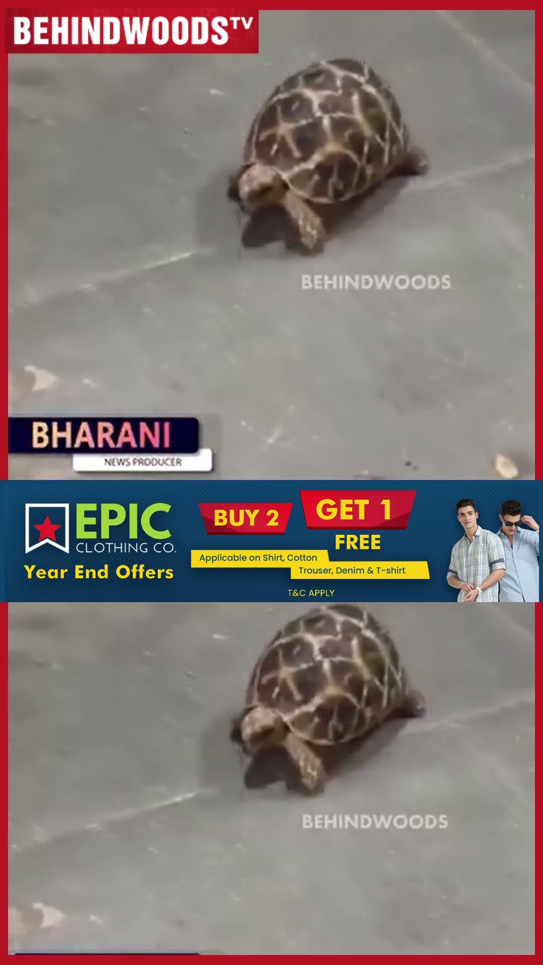 இந்த ஆமை Rate ரூ.64லட்சமா ? ? போலீசை அதிரவச்ச மீன் வியாபாரி