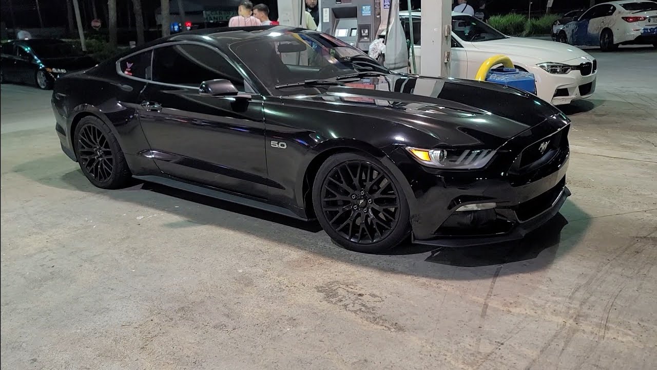 2017 Ford Mustang GT Hellion 55mm Twin Turbo Kit 93 vs 2016 BMW M4 Bolt