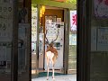 自動ドアの開け方を人間から学んだ鹿さん smart deer #shorts