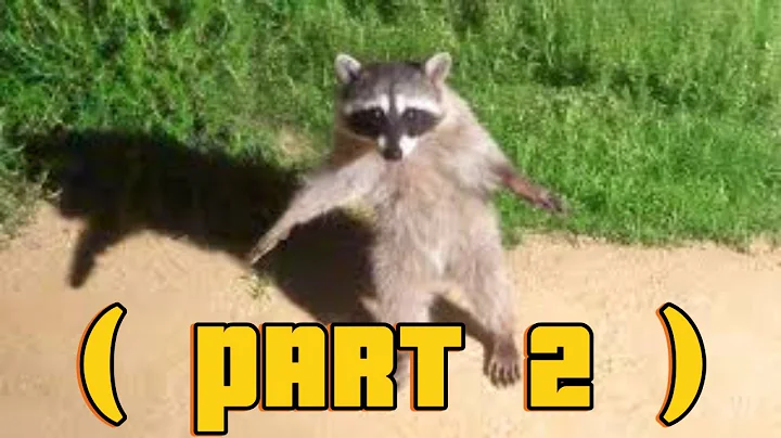 Funniest Animal Videos Ever (Part 2)