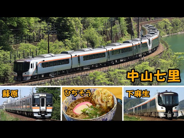 新緑が美しい】 春の高山本線HC85系を撮る 【特急ひだ】 - YouTube
