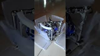 What The Hack #status #robot #storytime #transformation #story #transition #trendingshorts