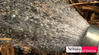 Watering Drought Stressed Trees and Shrubs