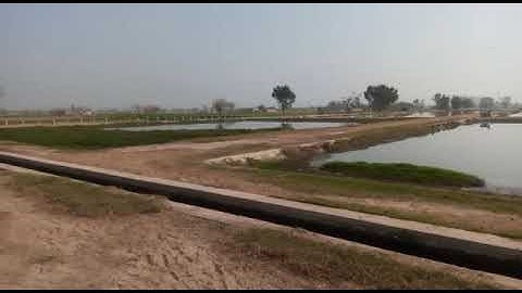 Waste waster stabilization (waste water treatment) Part 2