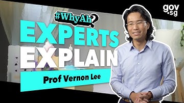 Experts Explain: COVID-19 by Prof Vernon Lee