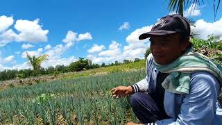 Download Lagu KABAR TERBARU‼️ BLI NYOMAN PERANTAU ASAL KOTA BALI  MP3 Download Lagu KABAR TERBARU‼️ BLI NYOMAN PERANTAU ASAL KOTA BALI  MP3