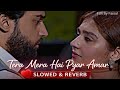 Tera Mera Hai Pyar Amar❤️💫 Slowed Version | Pure Love Vibes💓 | Ishq Murshid | Edit By Faisal | FQZ81