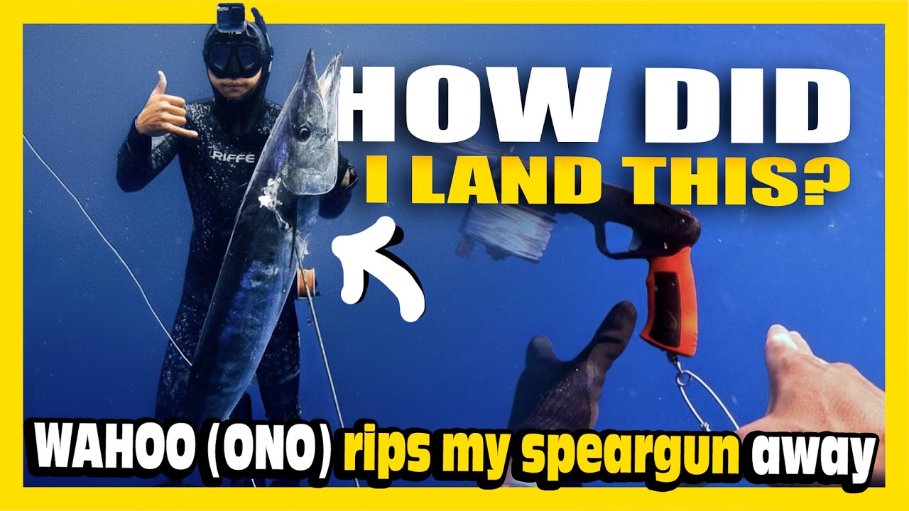 Craziest SPEARFISHING Catch EVER