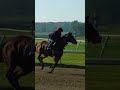 CARRERAS DE CABALLO ENTRENANDO EN SU PRIMERA CARRERA #carrerasdecaballos #caballos #corridos