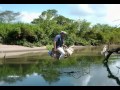 UN LLANERO DE ESTOS TIEMPOS.:RAMONCITO PEREZ