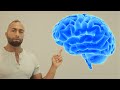 أفضل مكمل لزيادة التركيز و الذاكرة وقوة التحمل ALPHA GPC mp3