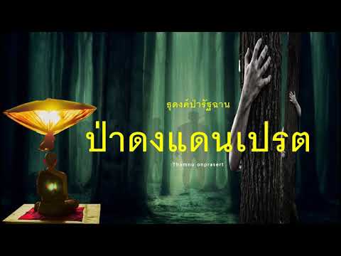 ๑๖๙ .ป่าดง..แดนเปรต ธุดงค์ป่ารัฐฉาน