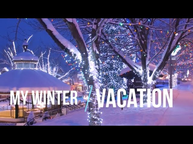 Winter Vacation - Winter Holiday Essay -  Present Simple