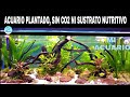 Mi Acuario plantado, sin CO², sin abono, sin sustrato nutritivo |super economico|