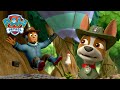 Pups save Chickaletta from Crocodiles and more! - PAW Patrol Episode - Cartoons for Kids Compilation