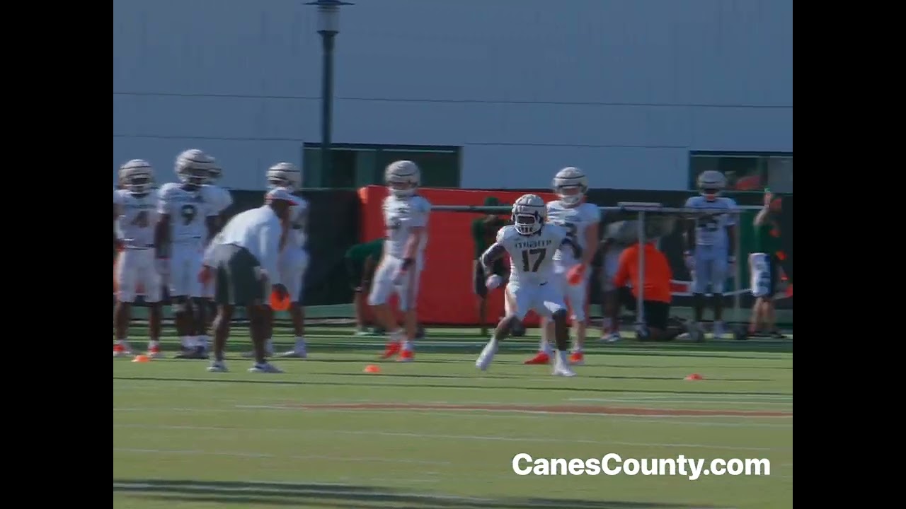 Linebackers and defensive backs in drills at fall camp.