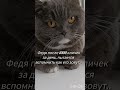 Федя, Федот, Толстый, Мякиш.... А у вас? 🐱😻🔥#Фединыбудни#юмор#кот#cat