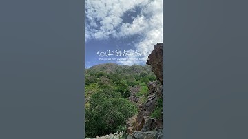 عينا فيها تسمى سلسبيلا محمد الحيدان سورة الإنسان #رحيق_الايمان #اكسبلور #quranrooheiman #quran