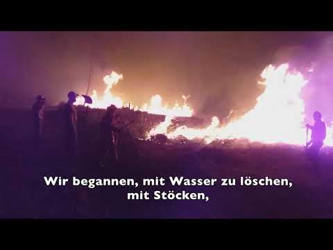 Waldbrände im Amazonas wüten weiter - Caritas leistet Soforthilfe