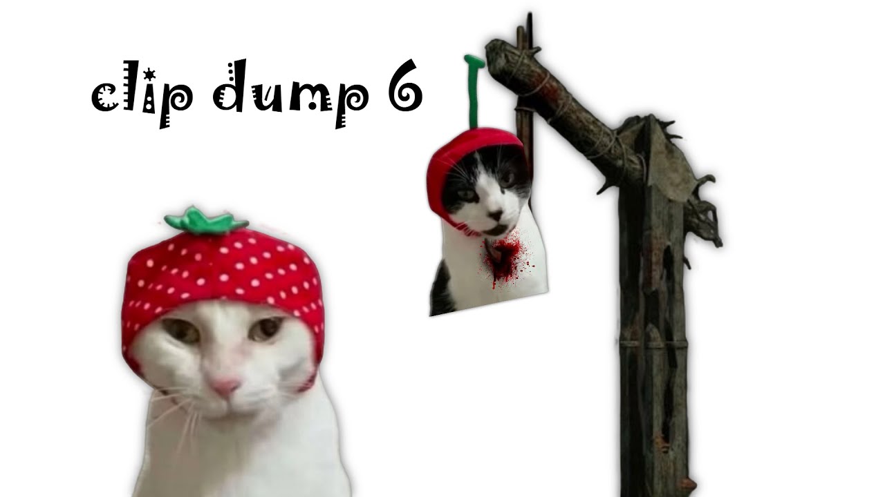 clip dump #6 (new year edition!)