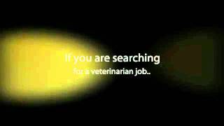 Veterinarian Salary HQ